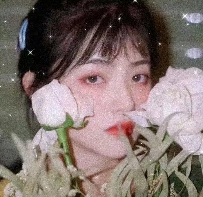 去年烟花特别多